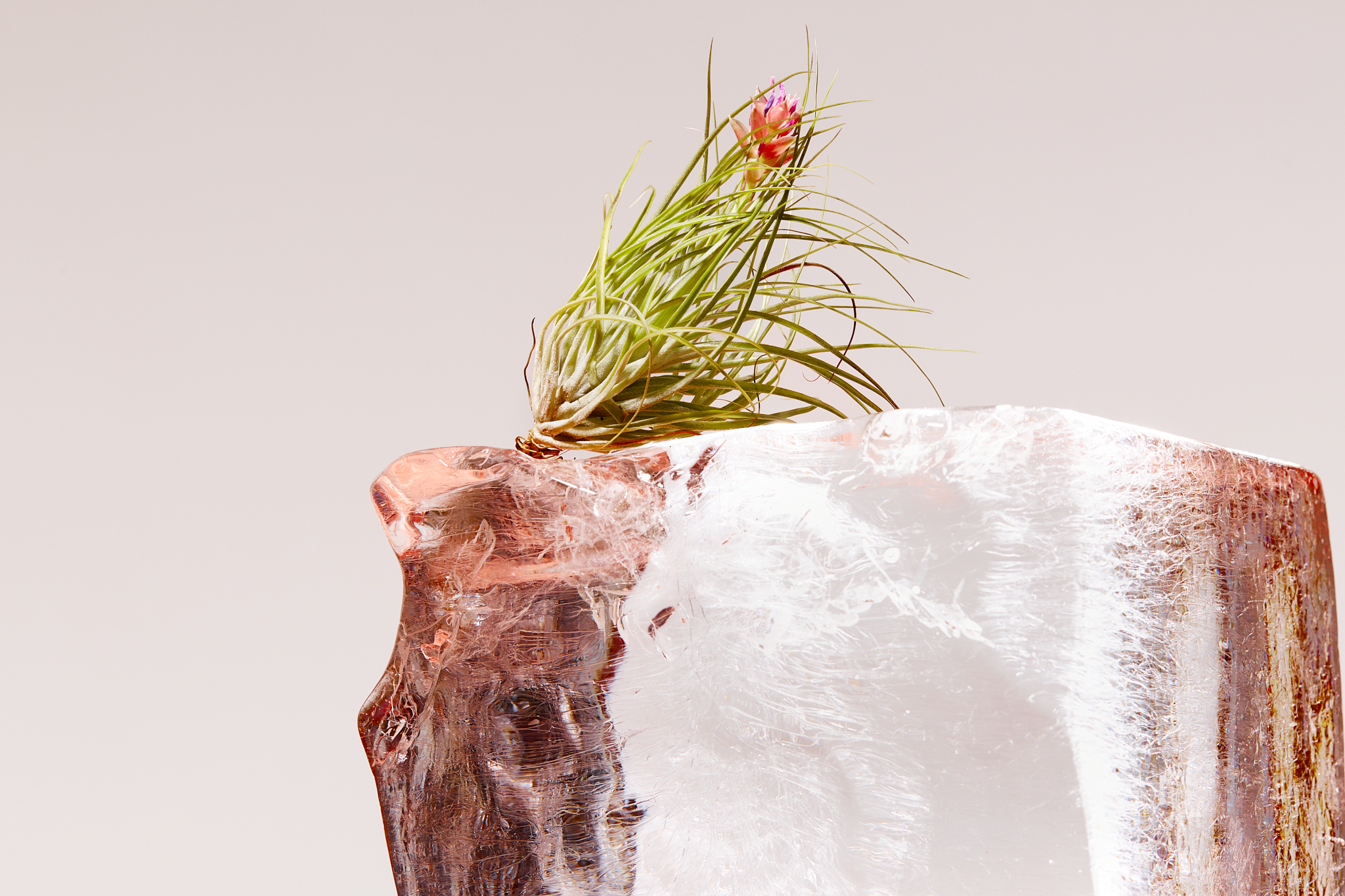 Iced Media services